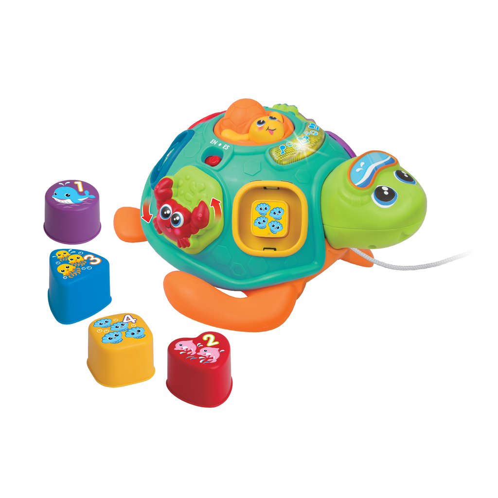 WINFUN Pull Along Sort 'N Learn Turtle