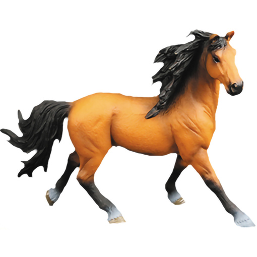 [Q9899-H27] WILD ANIMALS HORSES DISPLAY
